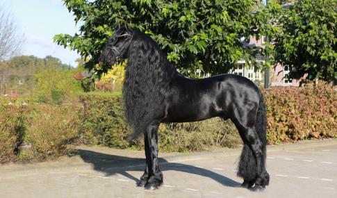 Epke 474